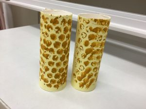 IMG_0255