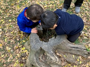 2025年｜３年保育受験【チャイルドクラブ】｜秋の遠足